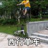 Roues de vélo - Ref 2384349