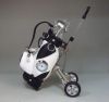 Sac de golf - Ref 37738