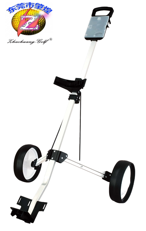 Sac de golf - Ref 41043