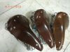 Selle de vélo - Ref 2346630