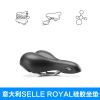 Selle de vélo Mountain Bike SELLE ROYAL - Ref 2359172