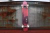 Skate pour homme femme enfant - Ref 2593563