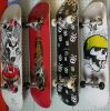 Skate pour homme femme enfant - Ref 2601192