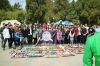 Skate ZBOARDS - Ref 2601888