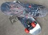 Skate pour homme femme enfant - Ref 2602111