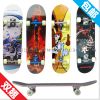 Skate pour homme femme enfant - Ref 2606052