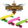 Skate pour homme femme enfant - Ref 2606593