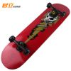 Skateboard pour homme femme enfant - Ref 2593033