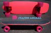 Skateboard pour homme femme SEAASON - Ref 2594519