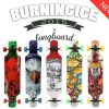 Skateboard pour homme femme - Ref 2594834