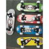 Skateboard pour homme femme - Ref 2595184