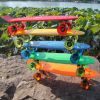 Skateboard pour homme femme - Ref 2597437