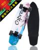 Skateboard pour homme femme enfant - Ref 2601079