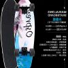 Skateboard - Ref 2601320