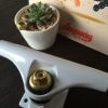 Skateboard ANYWAY - Ref 2601711
