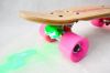 Skateboard pour homme femme enfant - Ref 2602049