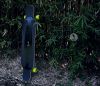 Skateboard - Ref 2602472