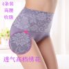 Slip jeunesse en coton - Ref 639638