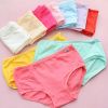 Slip en coton - Ref 639724