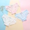 Slip jeunesse en coton - Ref 639999