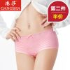 Slip jeunesse en La fibre de bambou - Ref 640002