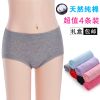  Slip jeunesse en coton - Ref 643781