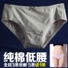  Slip jeunesse en coton - Ref 645870