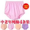 Slip en coton - Ref 646915