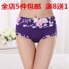 Slip - Ref 647525