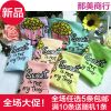 Slip - Ref 647679