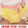  Slip jeunesse Kitten en coton - Ref 651115