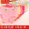  Slip - Ref 652456