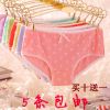 Slip jeunesse en coton - Ref 652665