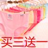 Slip jeunesse en coton - Ref 652746