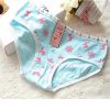Slip en coton - Ref 652936