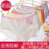 Slip en coton - Ref 653194