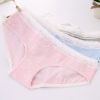 Slip jeunesse simple en coton - Ref 653794