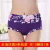 Slip jeunesse en La fibre de bambou - Ref 655445