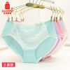  Slip jeunesse DASITIKI en coton - Ref 664310