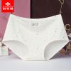  Slip jeunesse en coton - Ref 668123