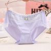 Slip jeunesse SIX RABBIT en coton - Ref 669704