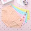  Slip jeunesse SIX RABBIT - Ref 669739