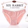  Slip jeunesse SIX RABBIT - Ref 669776