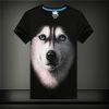 T-shirt 3D Chien Whisky - Ref 431