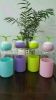 Tasse manga Charlotte - Ref 2701791