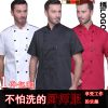 Tenue de cuisinier ADAM TAIKOO - Ref 1907991