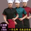 Tenue de cuisinier AGAMEMNON en coton - Ref 1908036