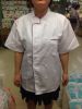 Tenue de cuisinier - Ref 1908309