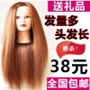 Tête mannequin - Ref 262038