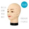 Tête mannequin - Ref 262858